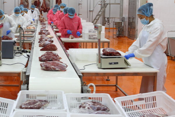 食品加工業(yè).png 食品加工業(yè).png