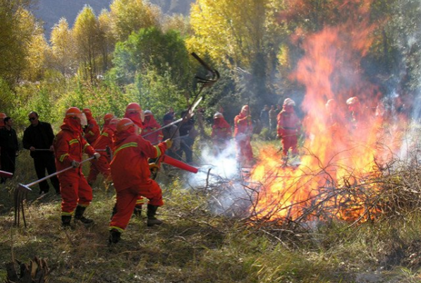 森林火災.png 森林火災.png