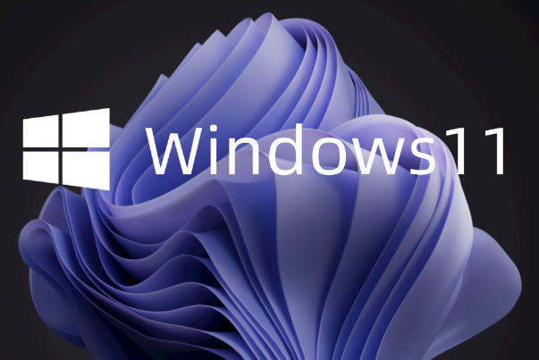 Windows 11系統(tǒng).png Windows 11系統(tǒng).png