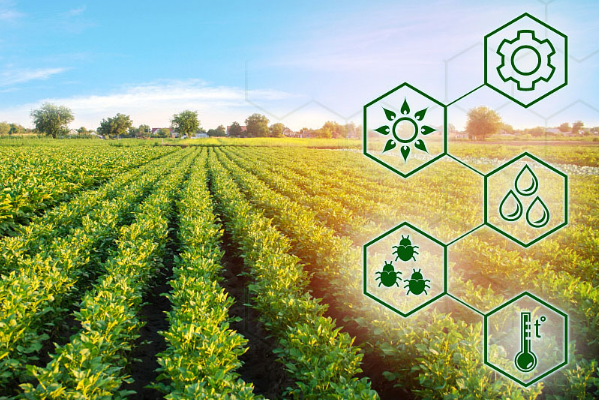 智慧農(nóng)業(yè).png 智慧農(nóng)業(yè).png